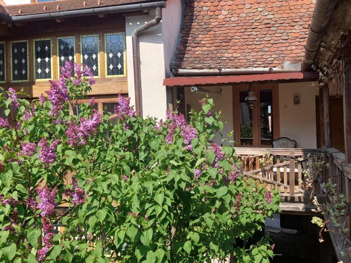 Fronius Boutique Residence Sighisoara Ngoại thất bức ảnh