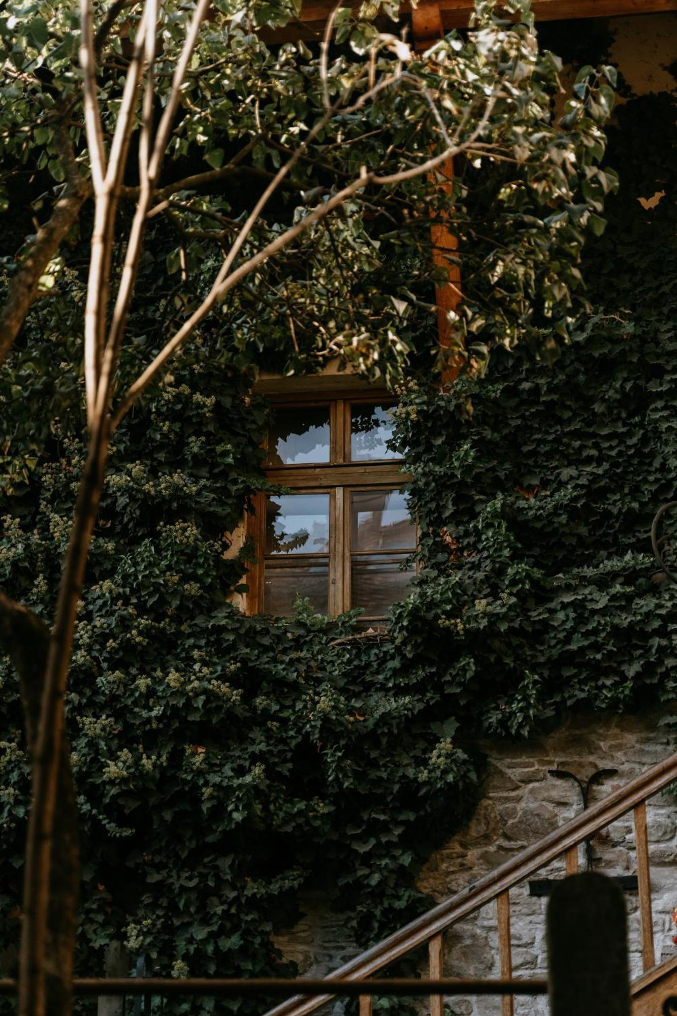 Fronius Boutique Residence Sighisoara Ngoại thất bức ảnh